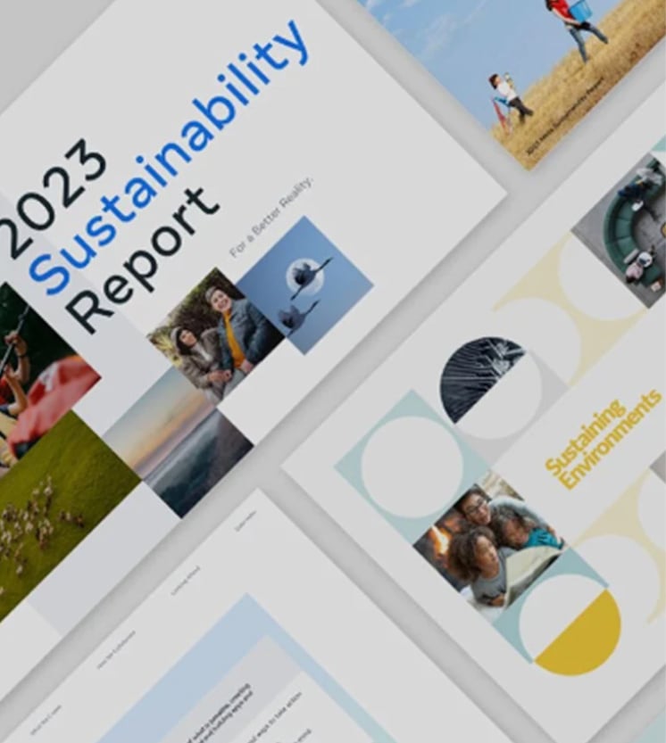 Brochure image for reporting