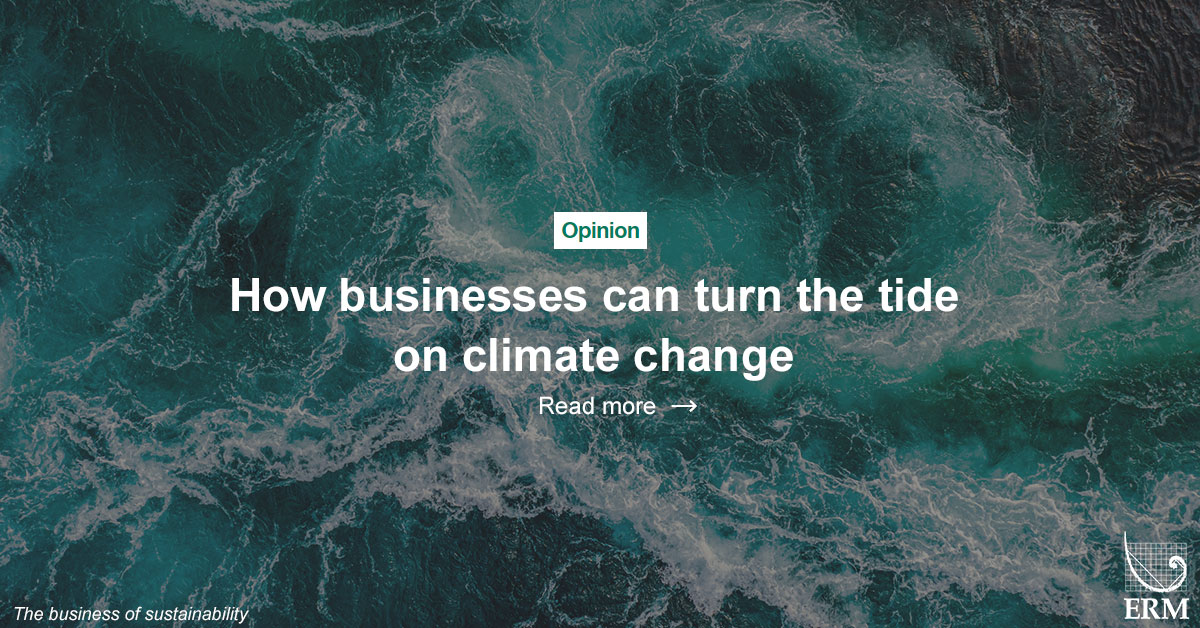 How businesses can turn the tide on climate change - Vimarsana News