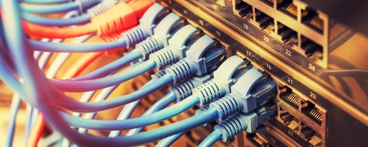 Close-up of multiple blue and red Ethernet cables connected to a network switch, showcasing organized wiring in a data center.