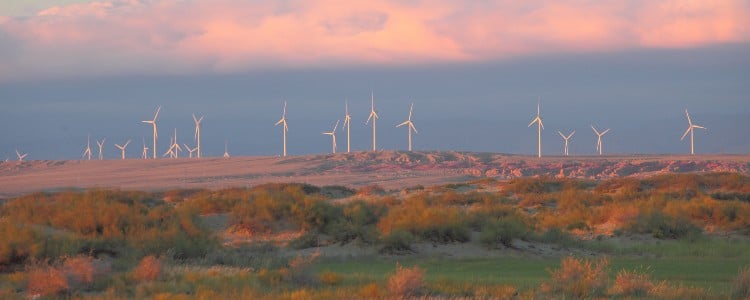 A landscape with scattered wind turbines against a sunset sky, surrounded by low lush vegetation and rugged terrain.