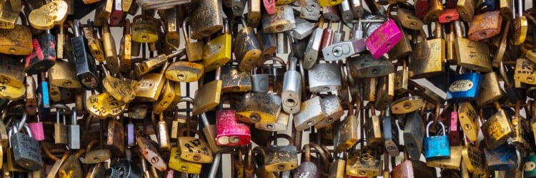 A dense collection of various padlocks in different colors and sizes, overlapping and secured together on a metal fence.