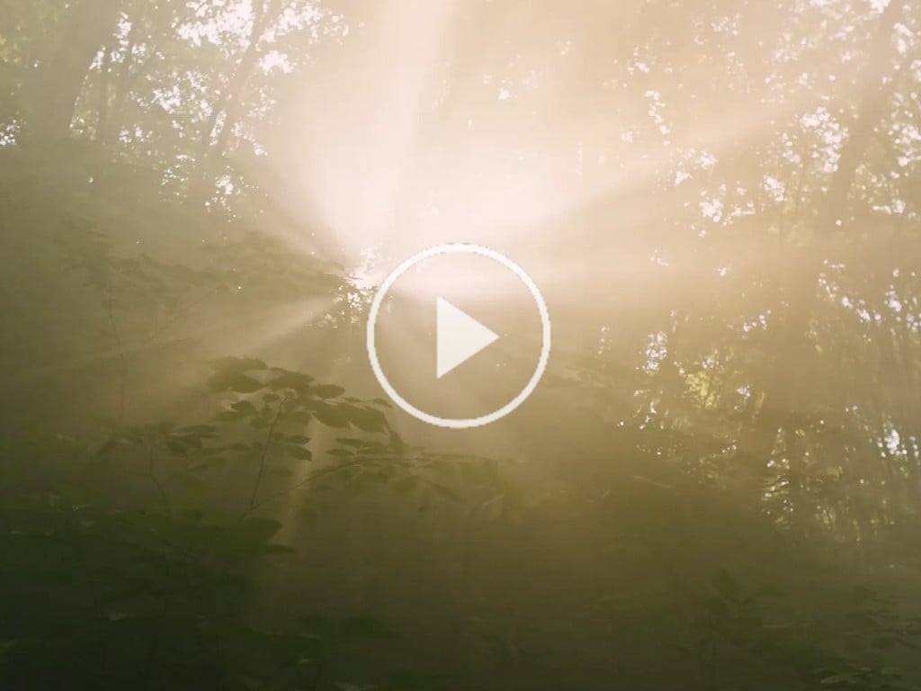 Vimeo video placeholder