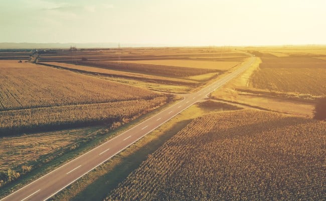 Aligning climate, nature, and markets