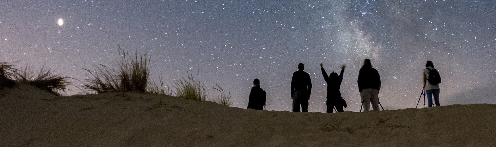 Microsoft Sustainability Program