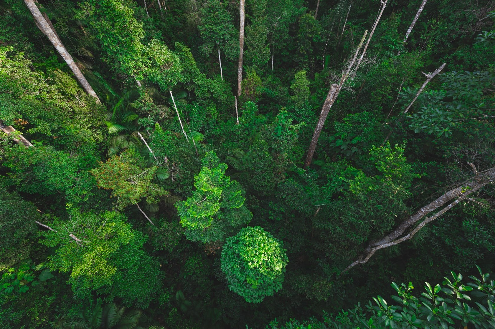 Greenium – how to turn sustainability into an enduring driver of enterprise value