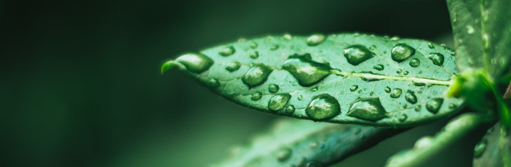 How ERM REVAMP can help