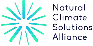 NCSA logo