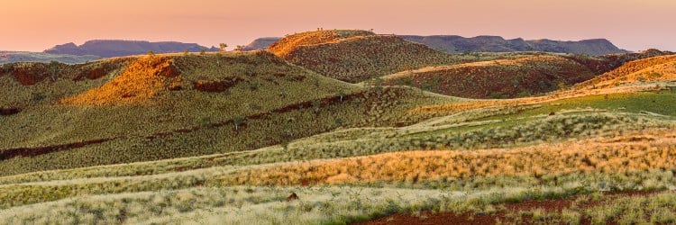 Sunset casts warm hues over rolling hills and grassy plains, showcasing a serene Australian landscape with scattered trees.
