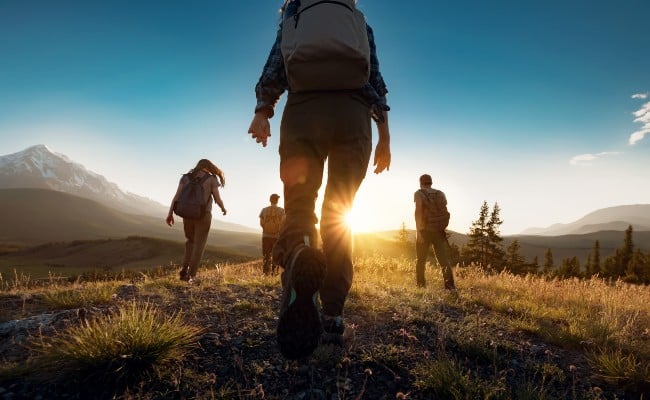 Launch your career in sustainability