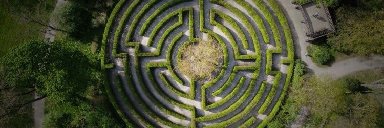 Aerial view of a circular hedge maze with winding paths and a central tree, surrounded by lush greenery.