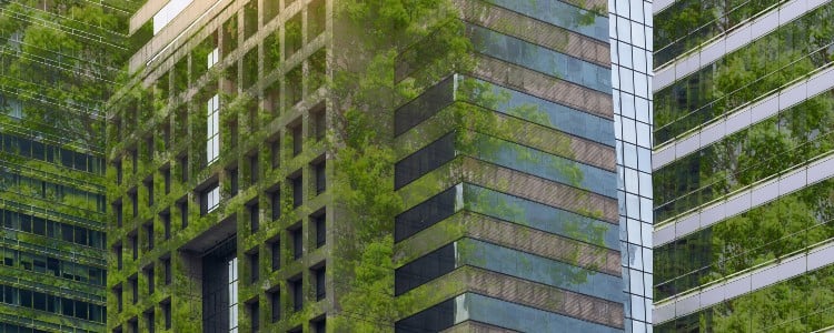 A modern building facade intertwined with greenery, showcasing a blend of architecture and nature in an urban setting.