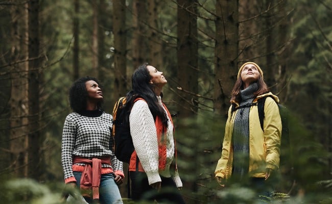 Diversity, inclusion & belonging