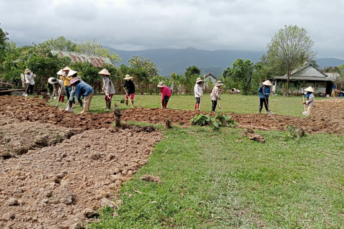 Centre for Rural Development in Central Vietnam 