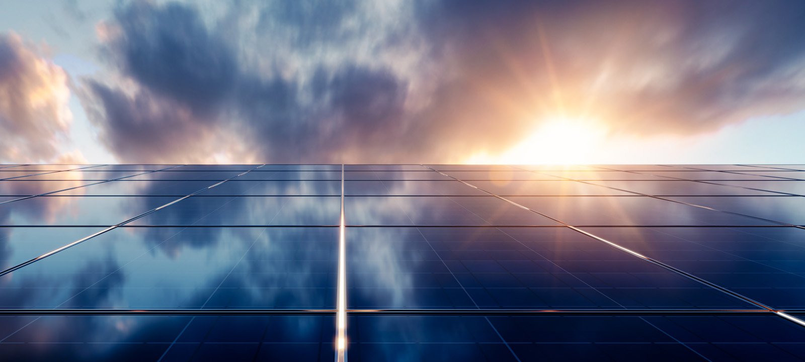 <p>Building the<br /><strong>renewable</strong> <br />energy future</p>
